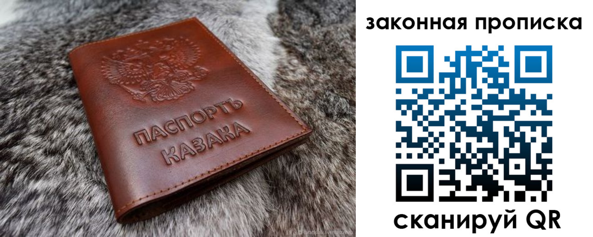 прописка в Данилове